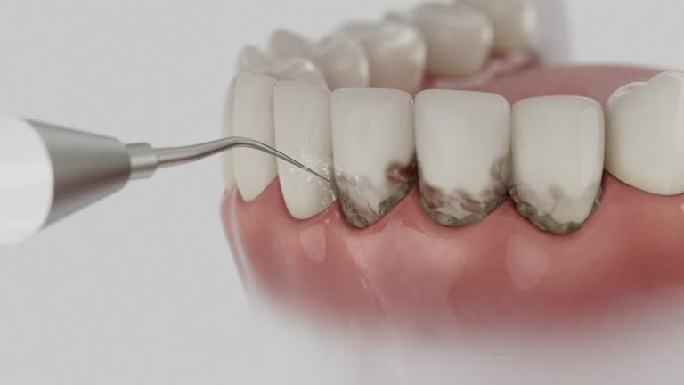 Reliable Dental contractor in Coal City, IL by Dentist Open Now